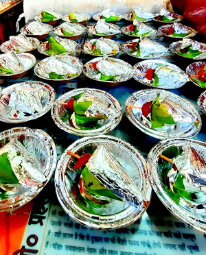 Netaji Paan Bhandar